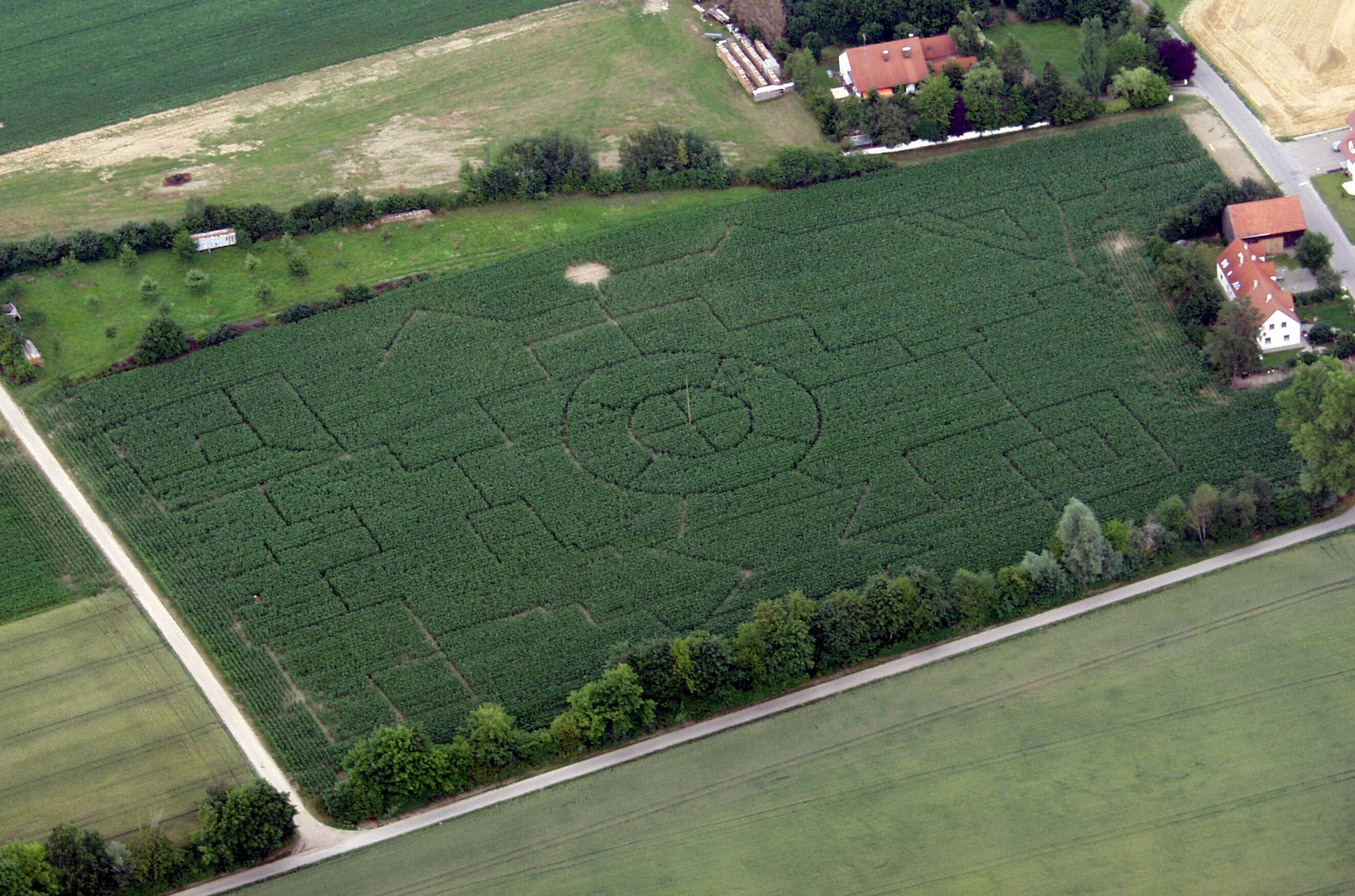 Unser Maislabyrinth 2004