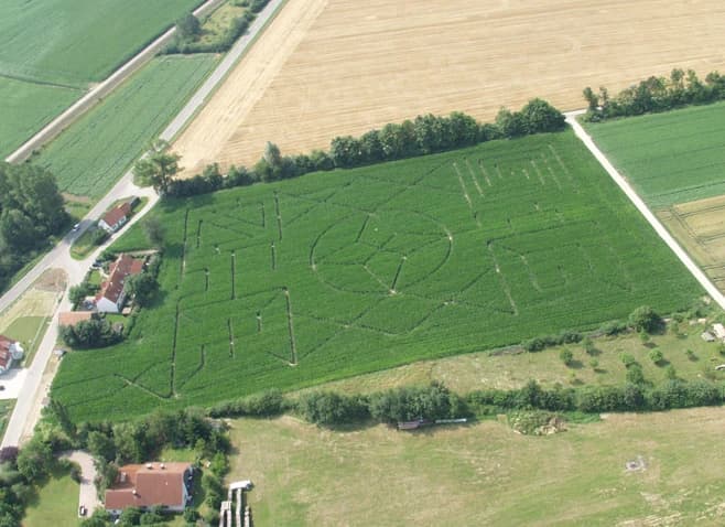 Unser Maislabyrinth 2005