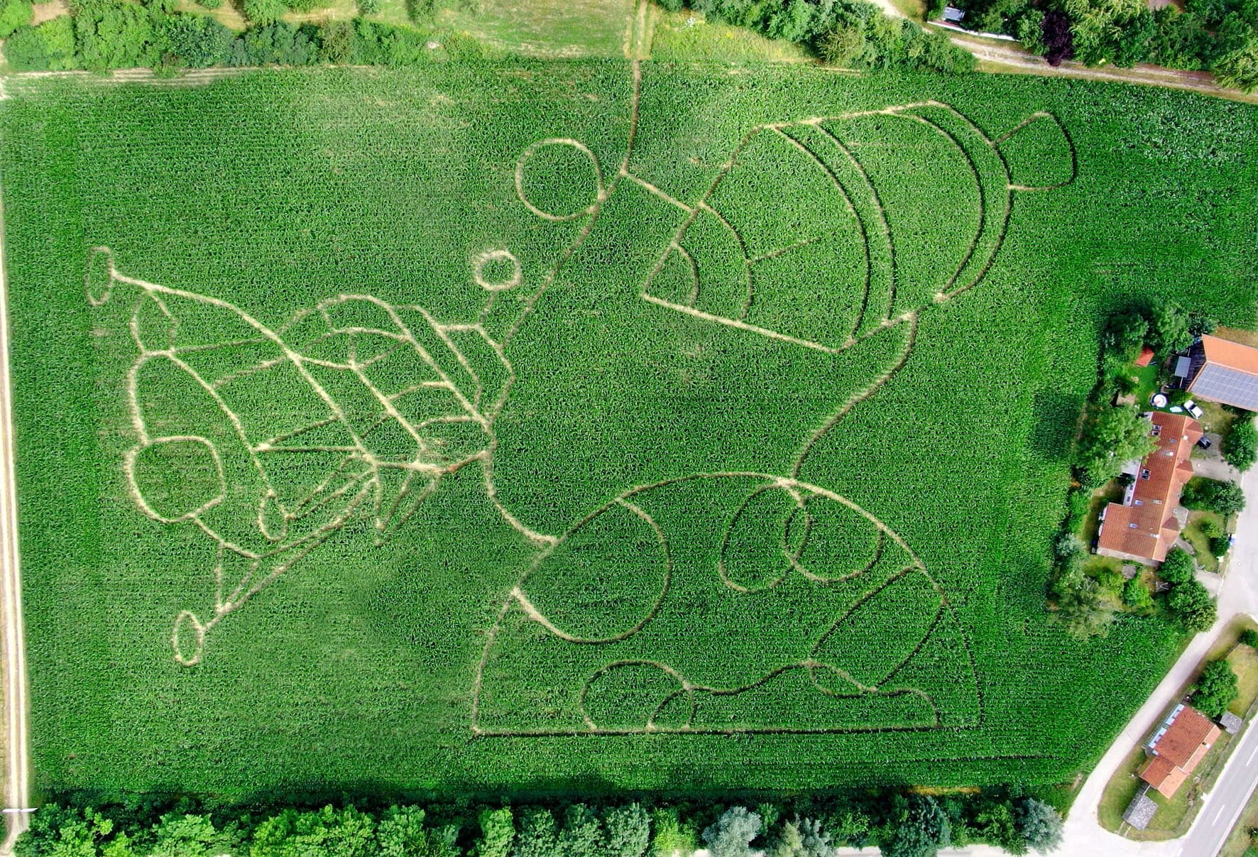 Unser Maislabyrinth 2019 in Form eines Satelliten