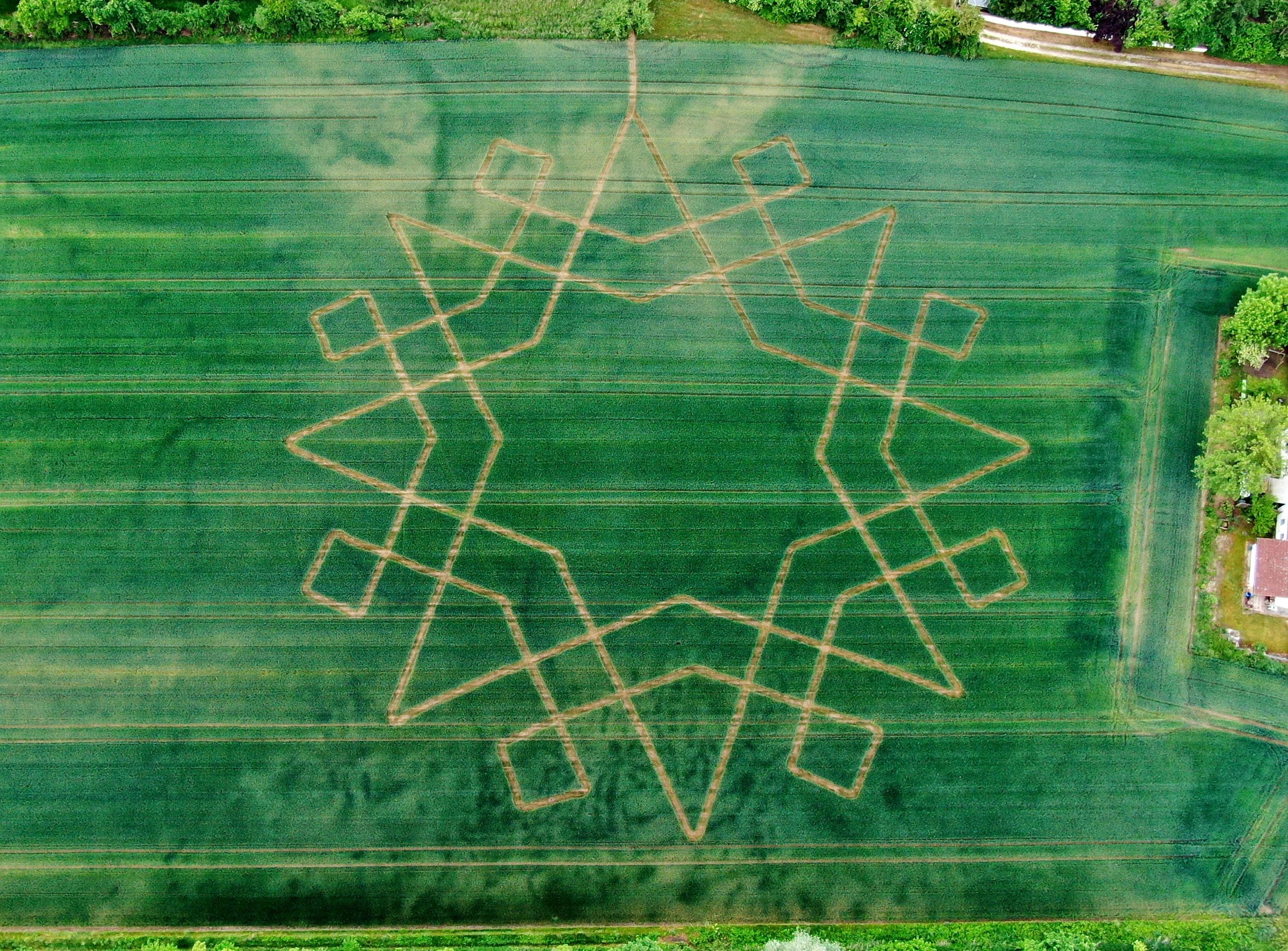 Unser Weizenlabyrinth 2025